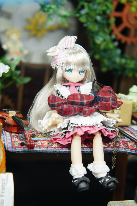 orange_pekoe_7_2020_2_27_DSC09209