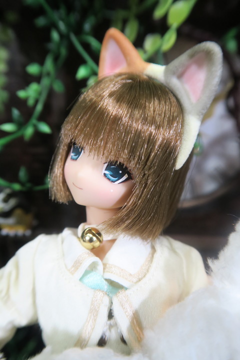 orange_pekoe_7_2017_8_19_IMG_8439