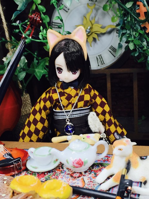 orange_pekoe_4_2019_8_13_IMG_3040
