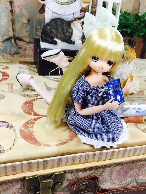 orange_pekoe_6_2020_3_18_IMG_6116
