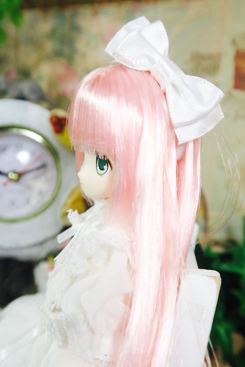 orange_pekoe_7_2019_6_26_IMG_6564