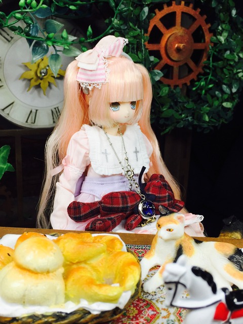 orange_pekoe_2_2019_9_22_IMG_4275