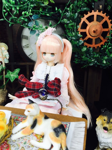 orange_pekoe_2_2019_9_21_IMG_4259