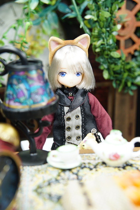 orange_pekoe_4_2019_11_10_DSC07665