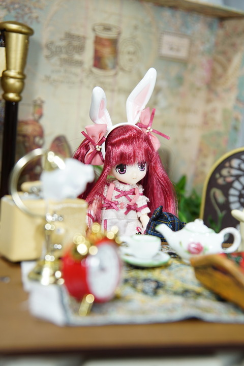 orange_pekoe_5_2018_8_30_DSC07100