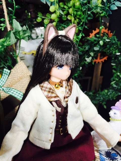 orange_pekoe_5_2019_12_13_IMG_7054