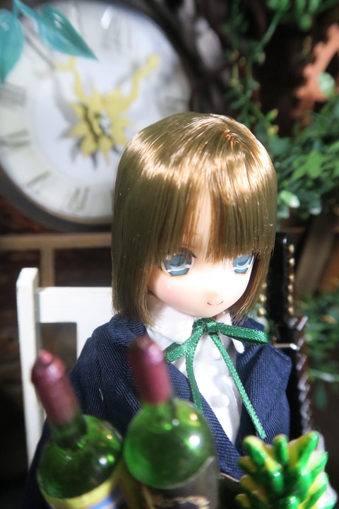 orange_pekoe_8_2017_2017_1_24_IMG_5696