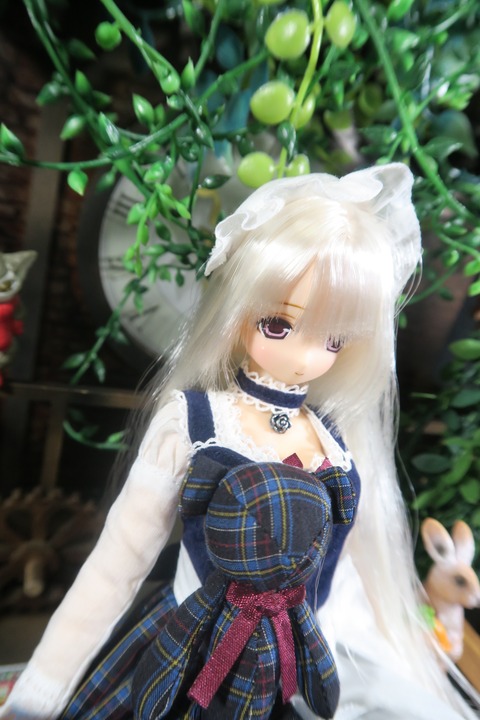 orange_pekoe_1_2_7_2019_10_29_IMG_4002