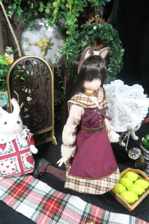 orange_pekoe_7_2019_7_30_IMG_1200