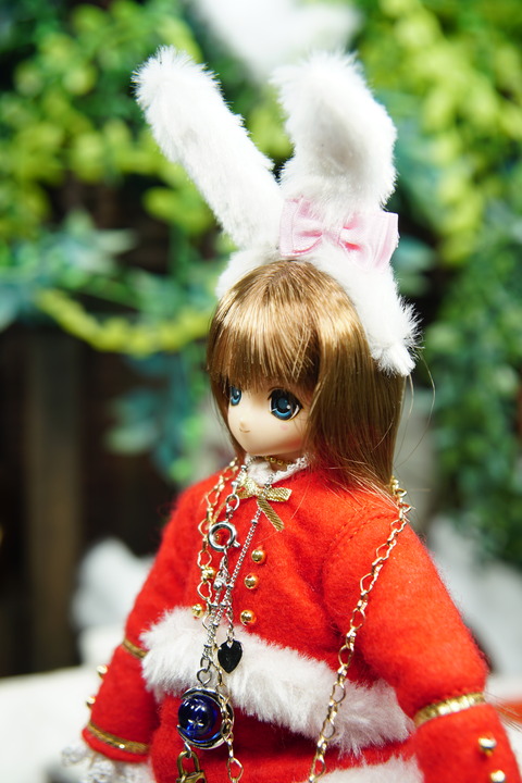 orange_pekoe_5_2019_12_25_DSC06288