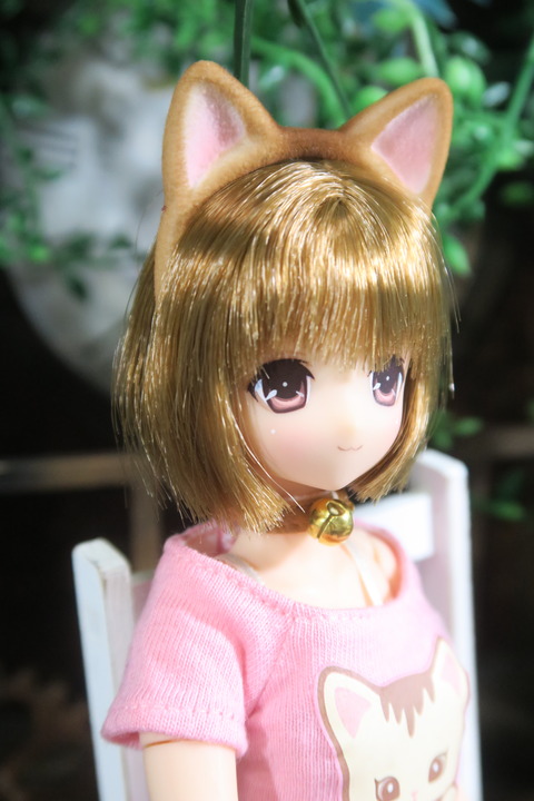 orange_pekoe_6_2017_4_25_IMG_6854