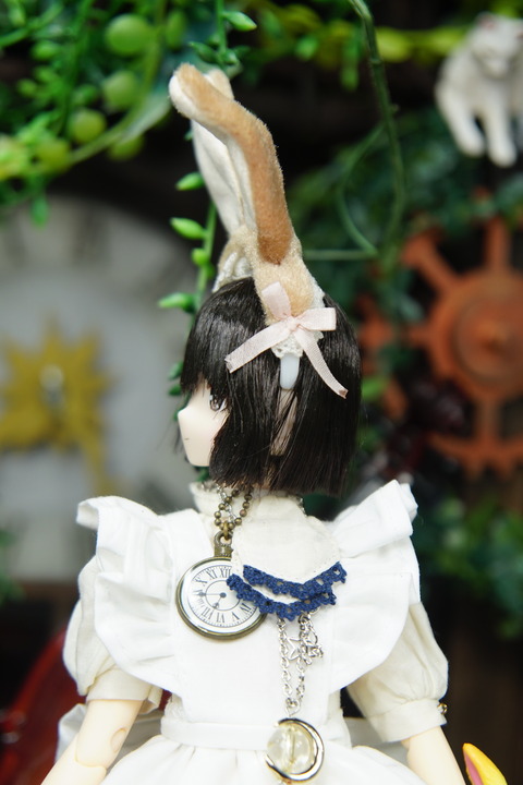 orange_pekoe_8_2020_12_10_DSC06017