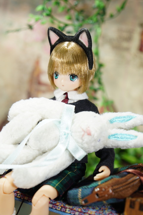 orange_pekoe_5_2020_3_26_DSC03029