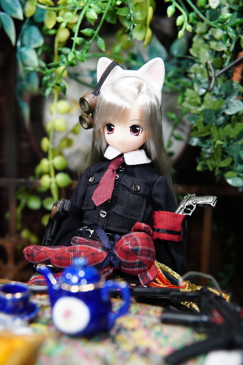 orange_pekoe_4_2020_2_22_DSC08792