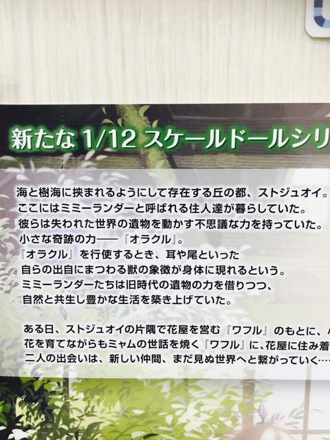 orange_pekoe_1_2_2018_5_23_IMG_1394