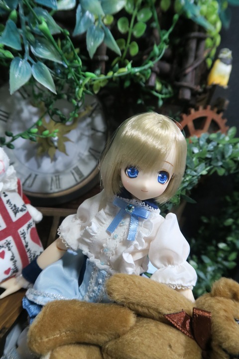 orange_pekoe_8_2019_7_24_IMG_3112