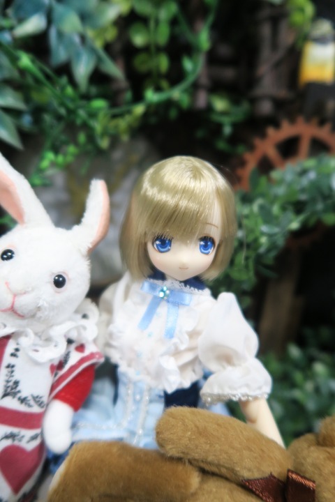 orange_pekoe_2_2019_7_24_IMG_3157