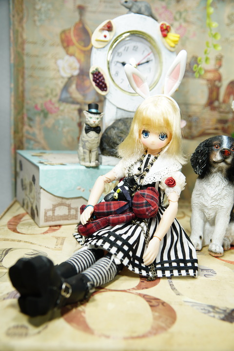 orange_pekoe_6_2020_7_24_DSC05986