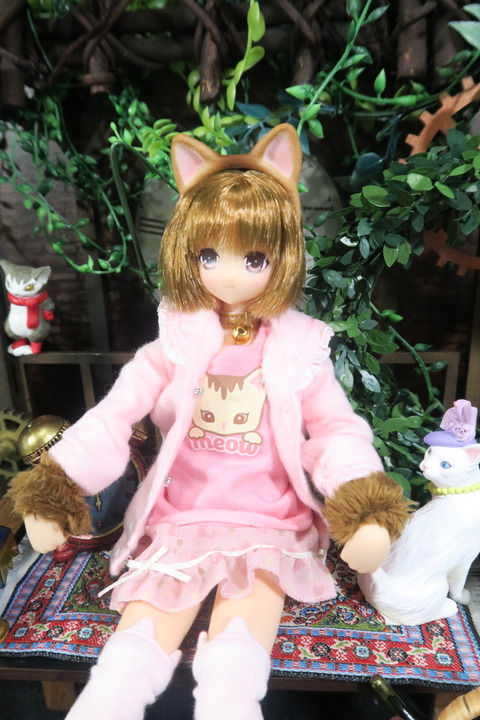 orange_pekoe_7_2017_4_30_IMG_6902