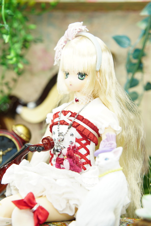 orange_pekoe_8_2019_7_22_DSC06687