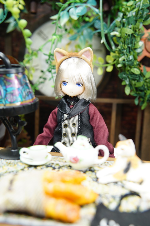 orange_pekoe_4_2020_7_9_DSC07664