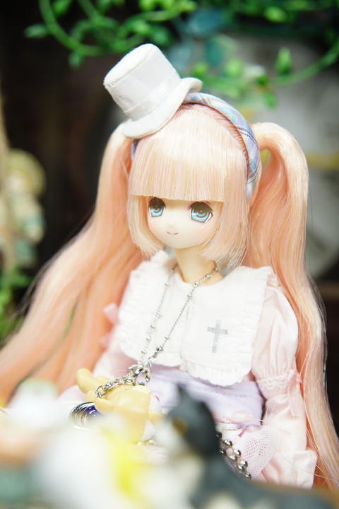 orange_pekoe_7_2019_9_10_DSC08611