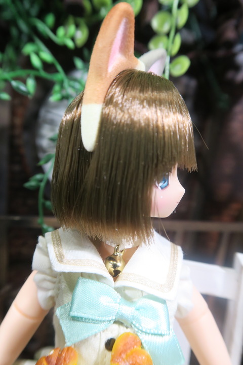 orange_pekoe_5_2017_8_13_IMG_8214