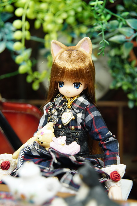 orange_pekoe_2_2020_6_15_DSC04315