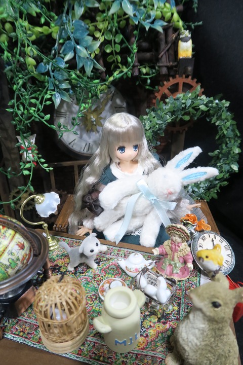 orange_pekoe_8_2017_1_28_IIMG_3266