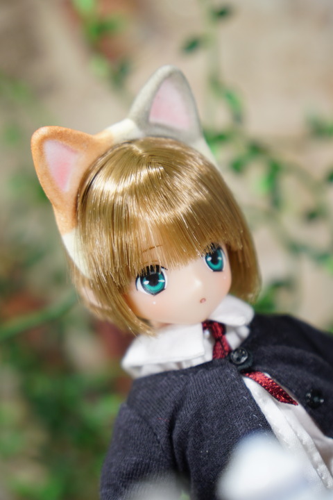 orange_pekoe_3_2020_7_12_DSC02902