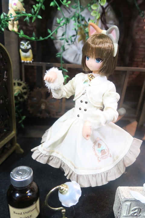 orange_pekoe_3_2017_8_19_IMG_8388