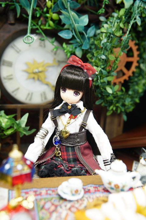 orange_pekoe_2_2019_11_3_DSC01866