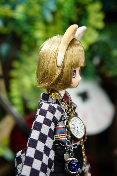 orange_pekoe_5_2020_5_17_DSC07455