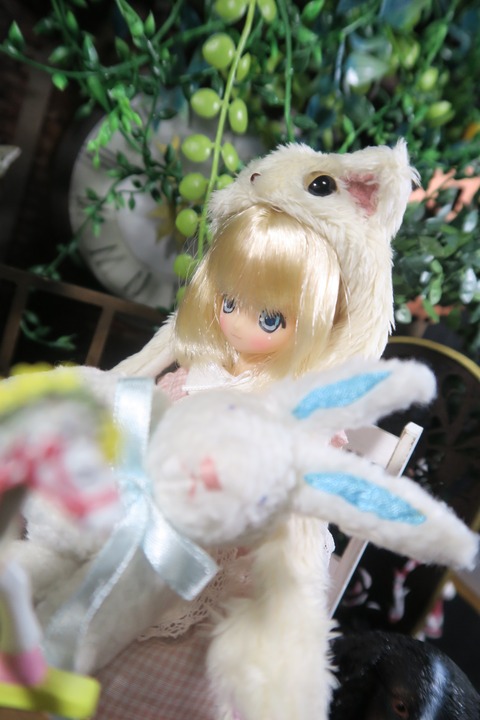orange_pekoe_5_10_26_IMG_4072
