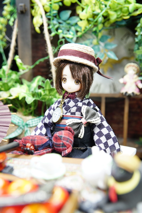 orange_pekoe_4_2019_6_10_DSC05479