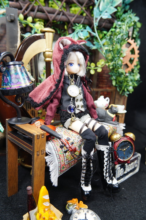 orange_pekoe_8_2020_4_21_DSC07889