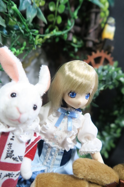 orange_pekoe_4_2019_7_24_IMG_3165
