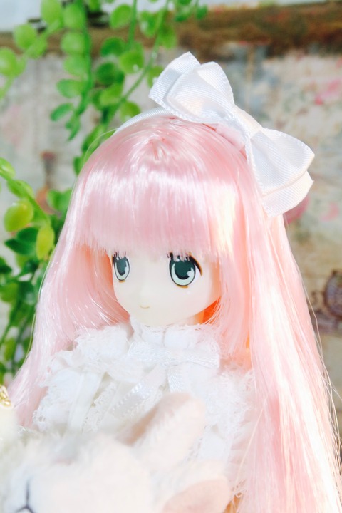 orange_pekoe_6_2017_4_12_IMG_6593