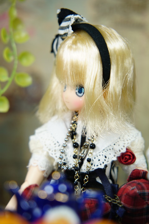 orange_pekoe_2_2020_7_24_DSC05799