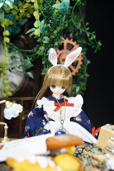 orange_pekoe_4_2020_7_18_DSC03212