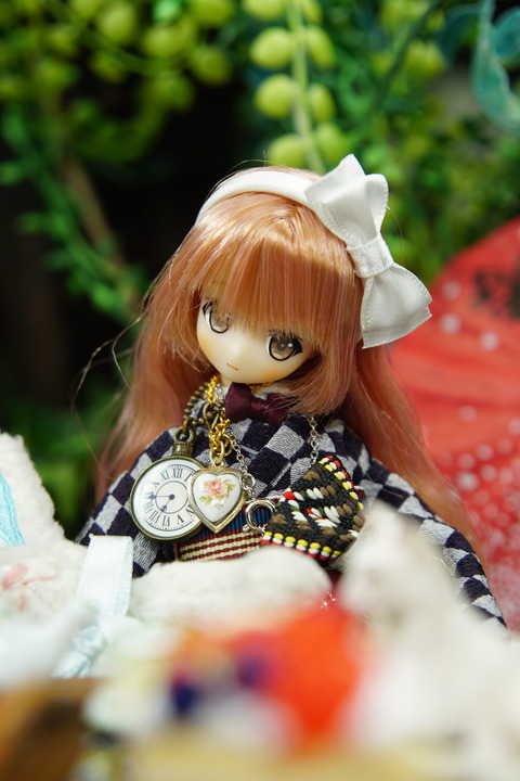 orange_pekoe_4_2020_8_20_DSC01551