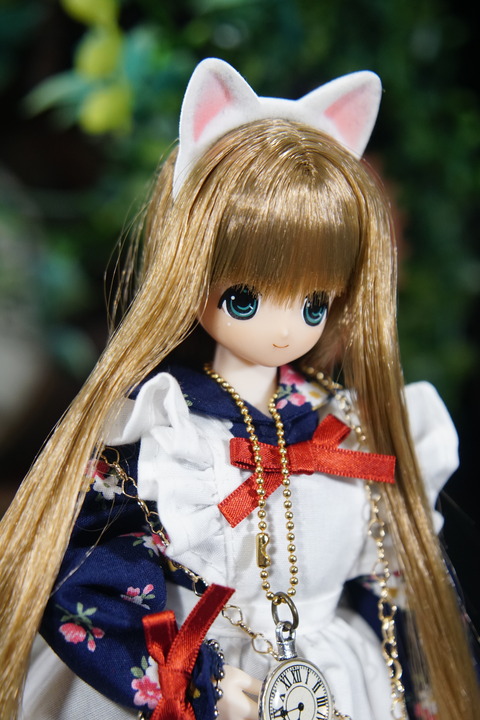 orange_pekoe_6_2020_7_18_DSC03338