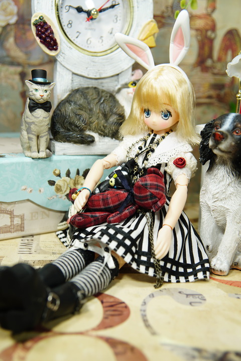 orange_pekoe_7_2018_8_21_DSC05976