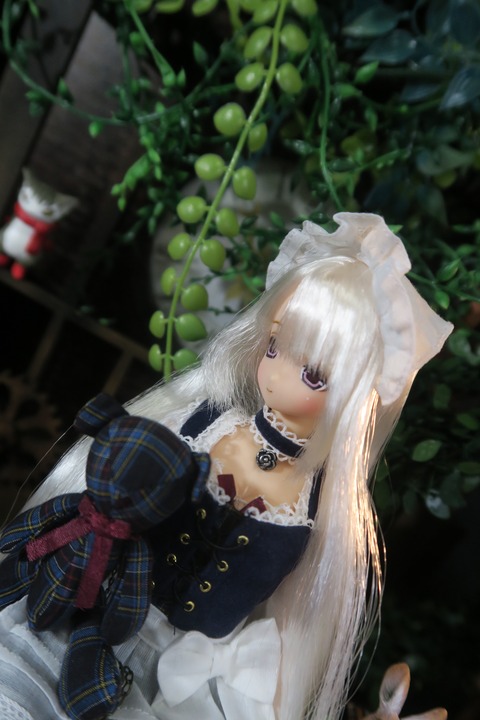 orange_pekoe_1_2_8_2019_10_29_IMG_3956