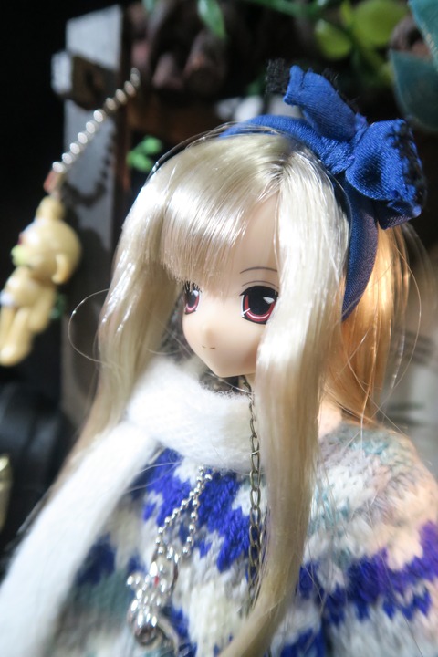 orange_pekoe_8_2019_12_31_IMG_4850