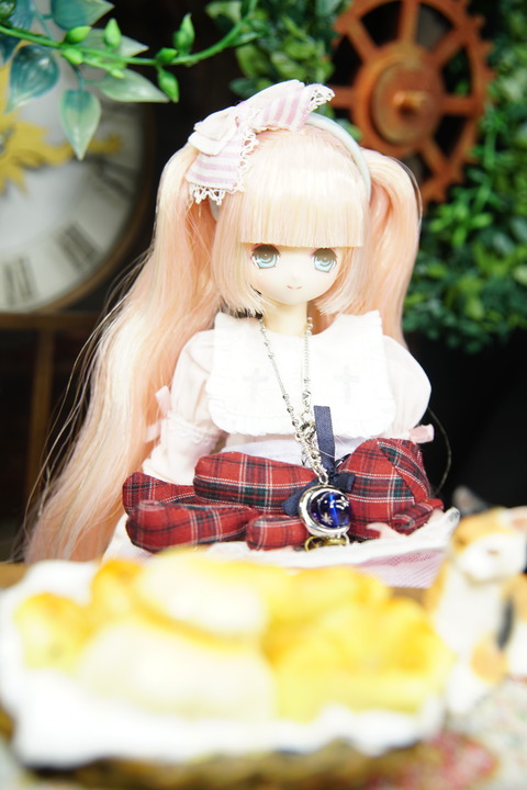 orange_pekoe_6_2019_9_10_DSC08595