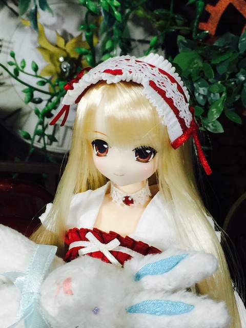 orange_pekoe_8_2016_10_21_IMG_9388