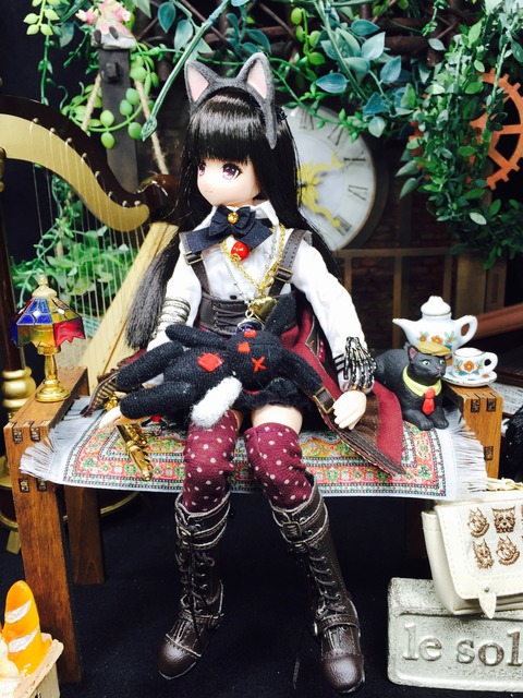 orange_pekoe_8_2019_11_14_IMG_7203