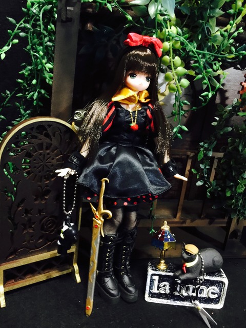 orange_pekoe_8_2020_4_30_IMG_3550