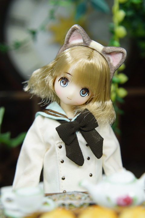 orange_pekoe_8_2019_11_17_DSC01487
